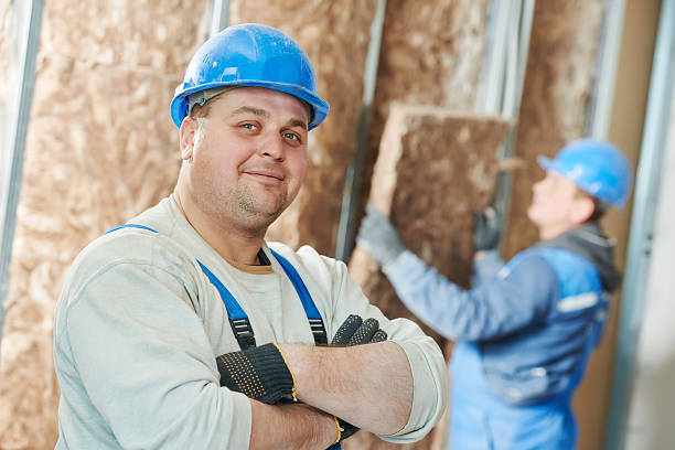 Best Basement Insulation  in USA